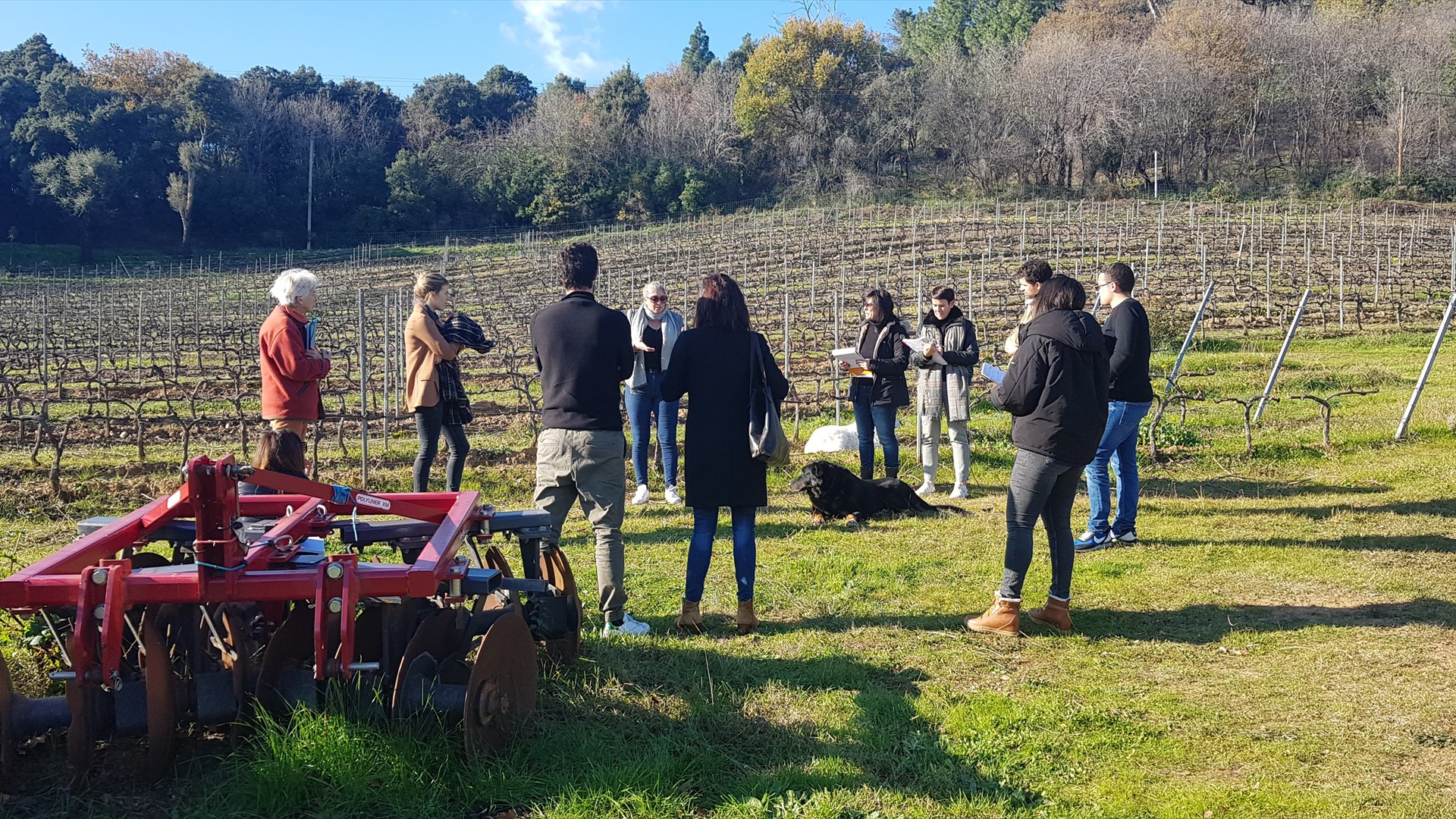 Extra Visite Vignerons (3)